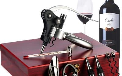 Test : ensemble de 9 accessoires de vin Tenyear