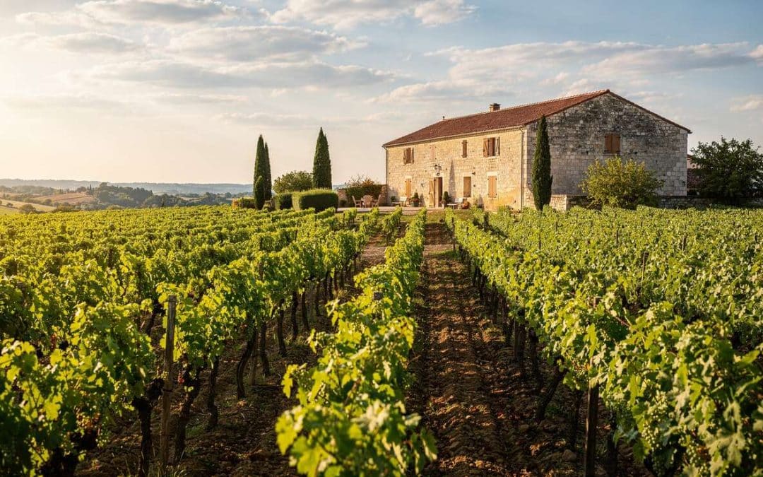 Fiche technique vin de Chinon