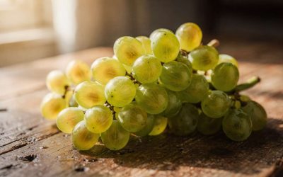 Tout savoir sur le muscat