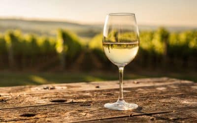Tout savoir sur l&rsquo;aligoté
