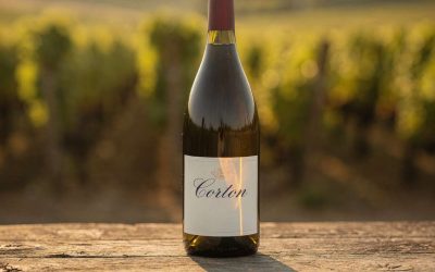 Fiche technique vin de Corton