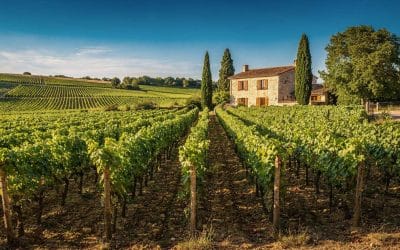 Fiche technique vin de Mâconnais