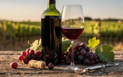 Fiche technique vin de Bordeaux