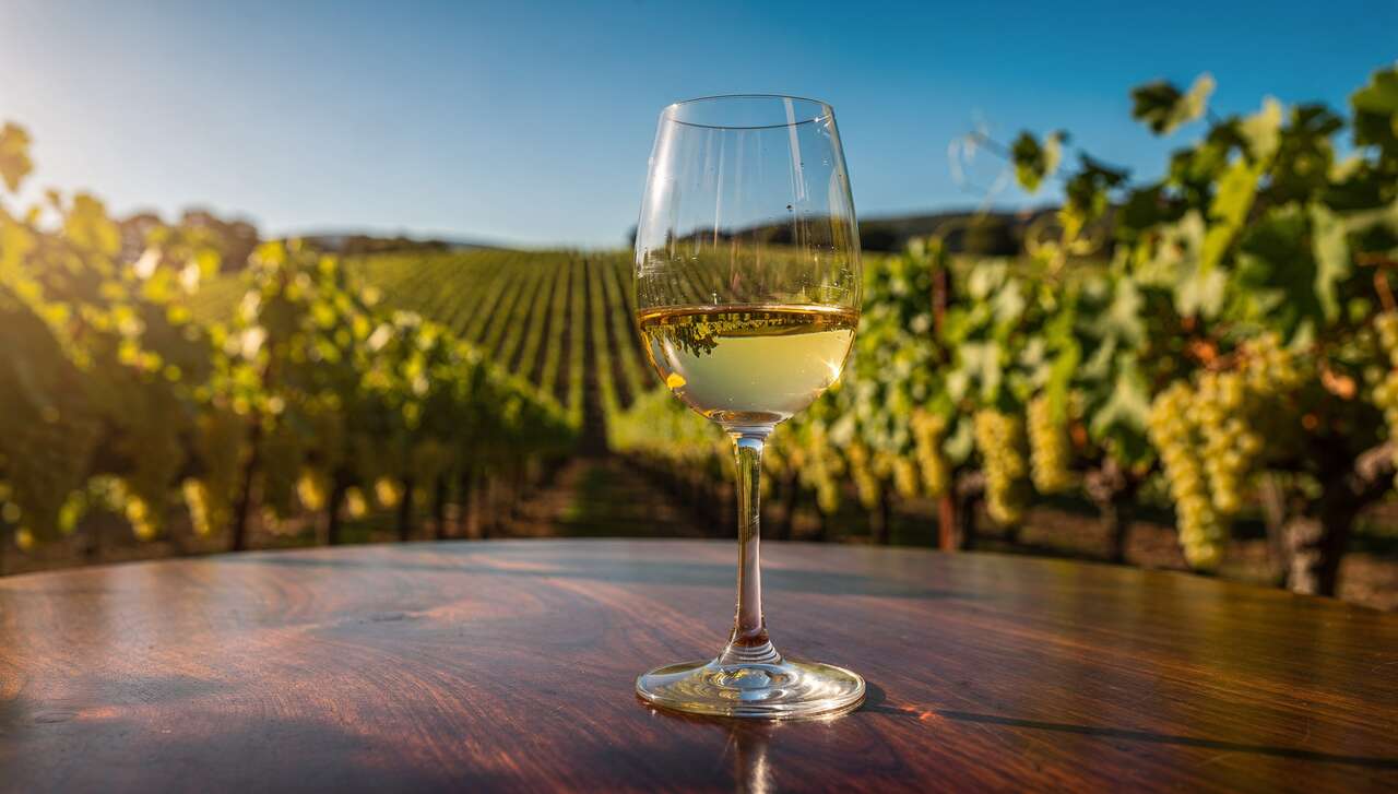 Pourquoi le chardonnay est-il si populaire ?