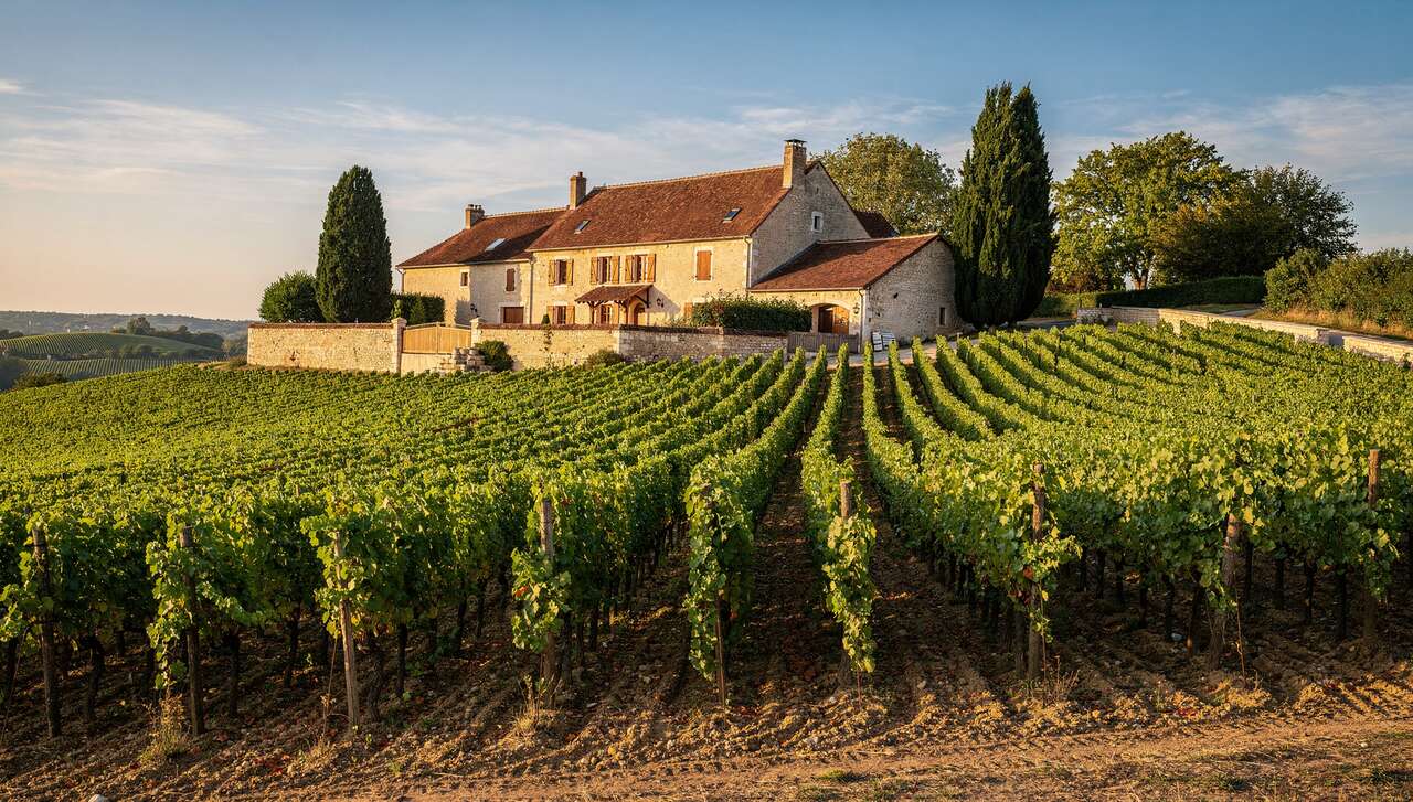 Le terroir de pommard