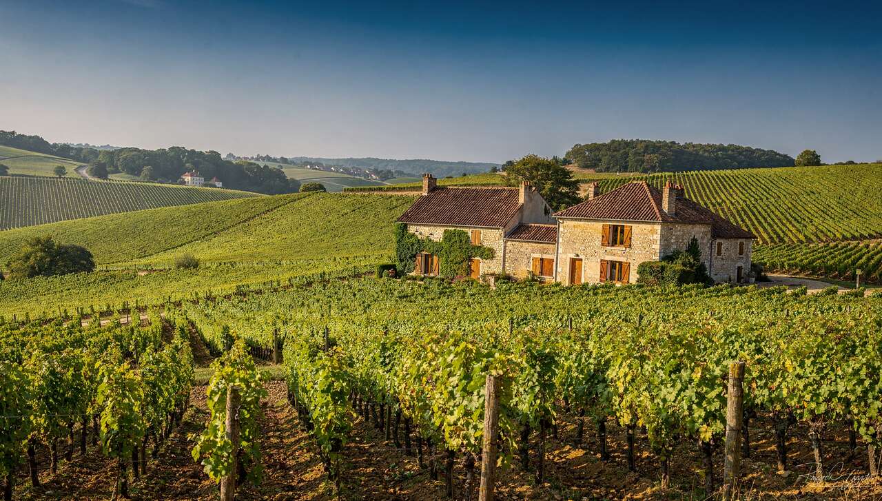 Climats et lieux-dits de pommard
