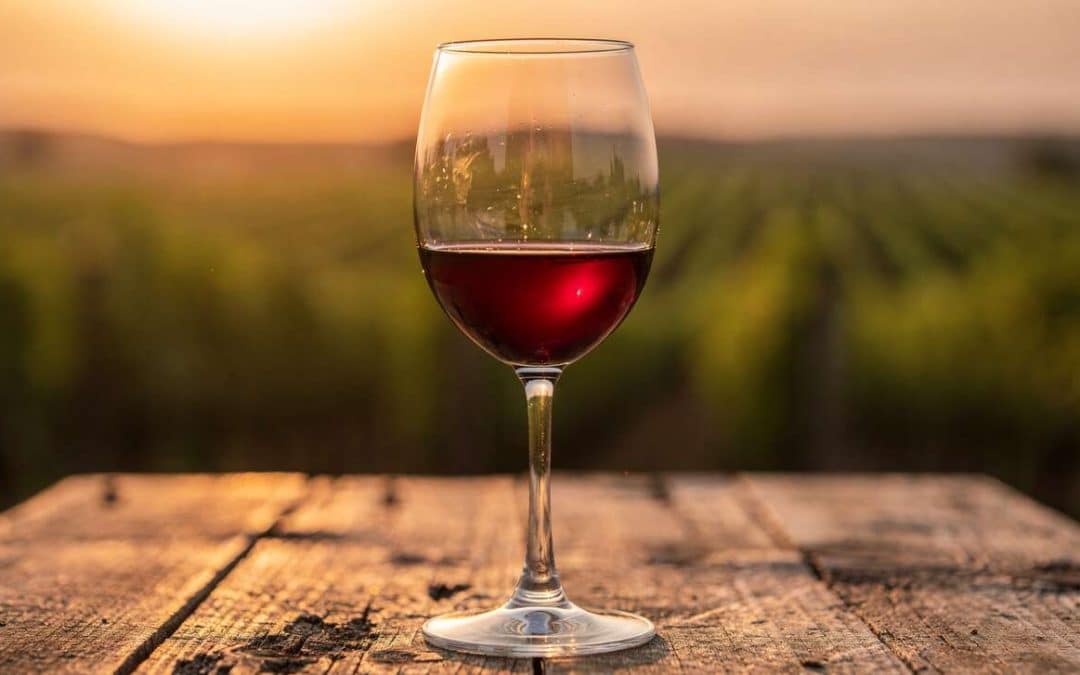 Tout savoir sur le pinot noir