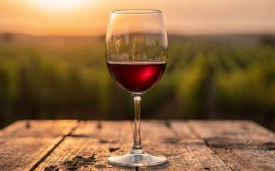Tout savoir sur le pinot noir