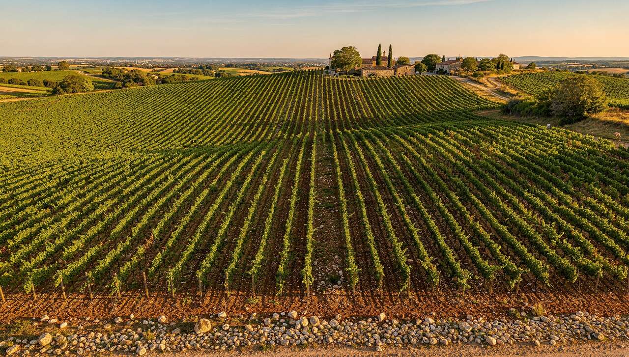 Les caractéristiques du terroir