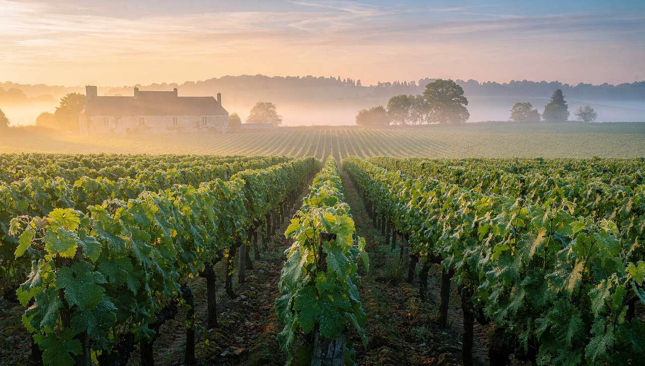 Principales régions de production