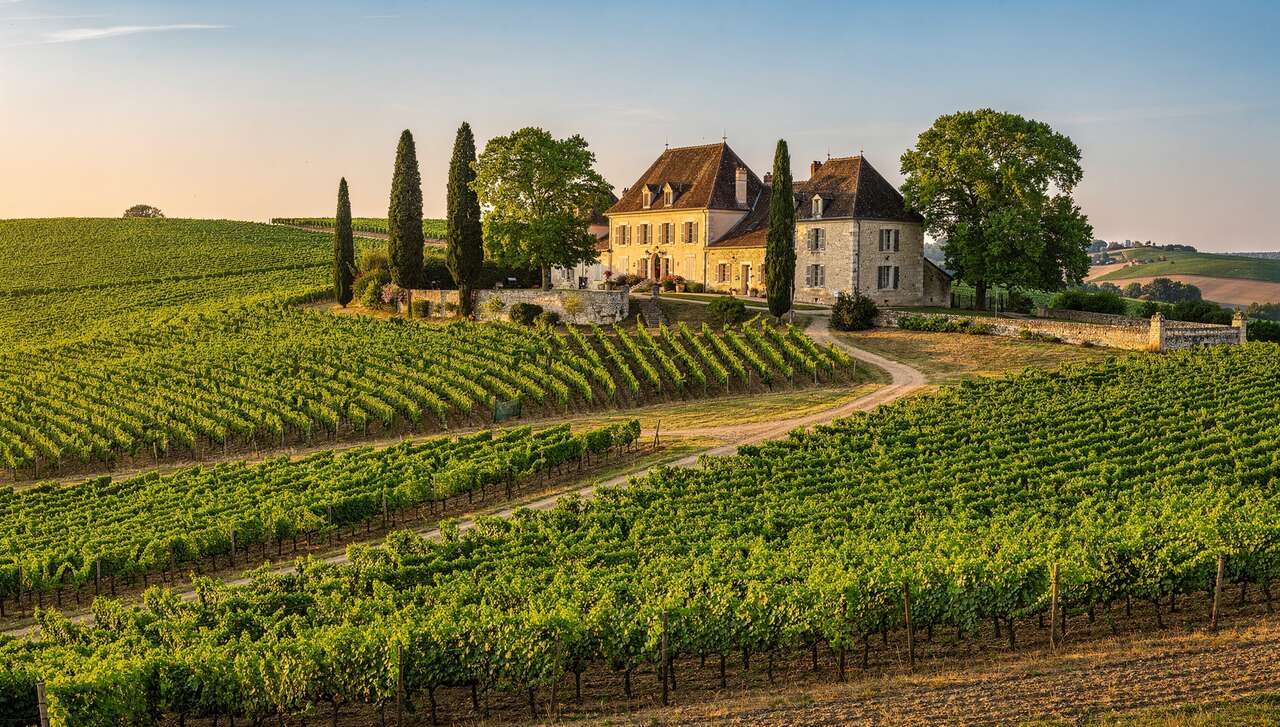 Terroirs et climats de l'appellation