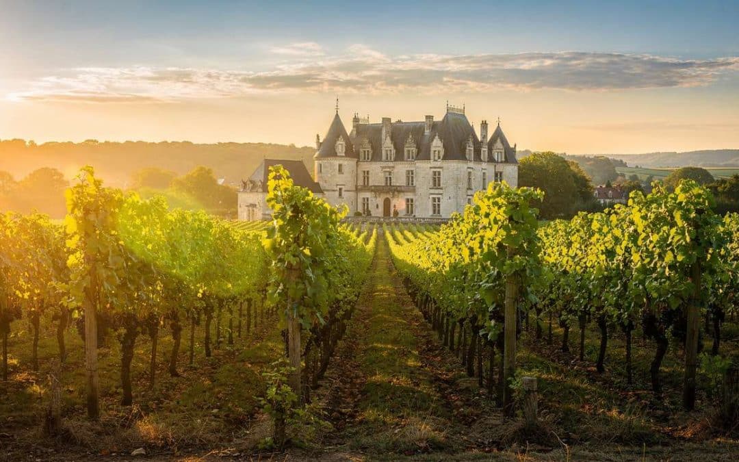 Fiche technique vin de Cahors