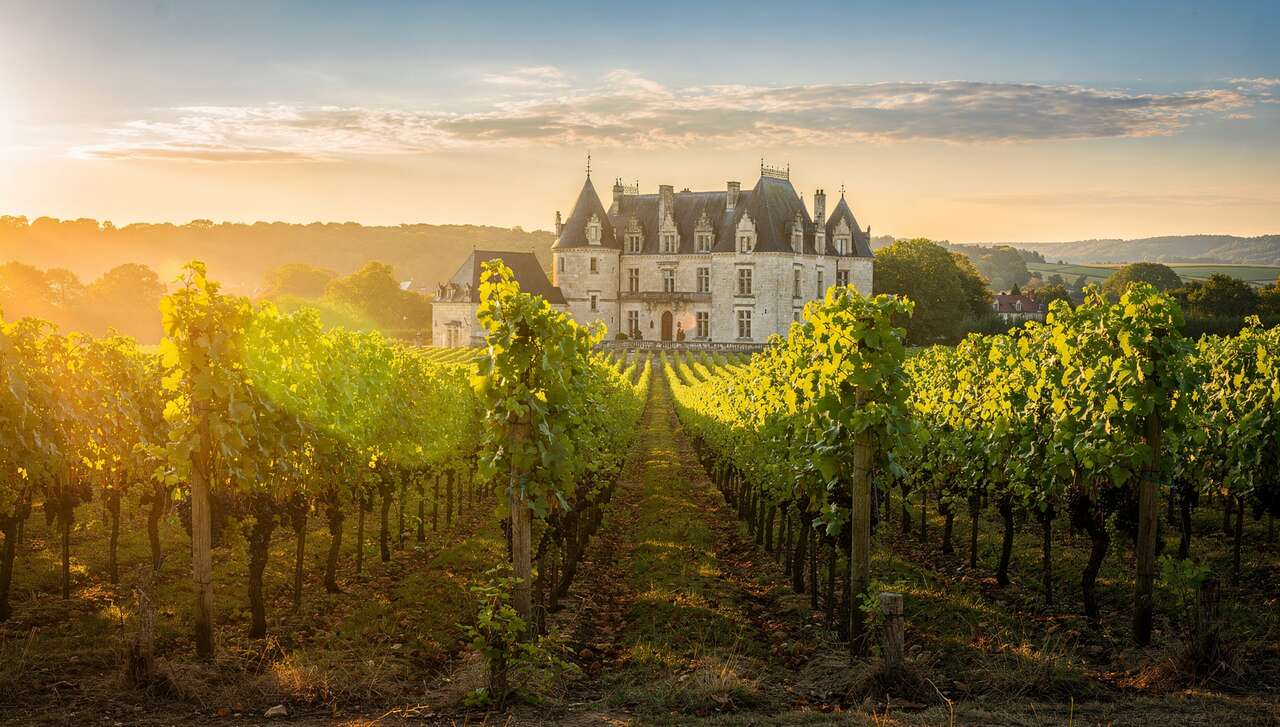 Fiche technique vin de Cahors