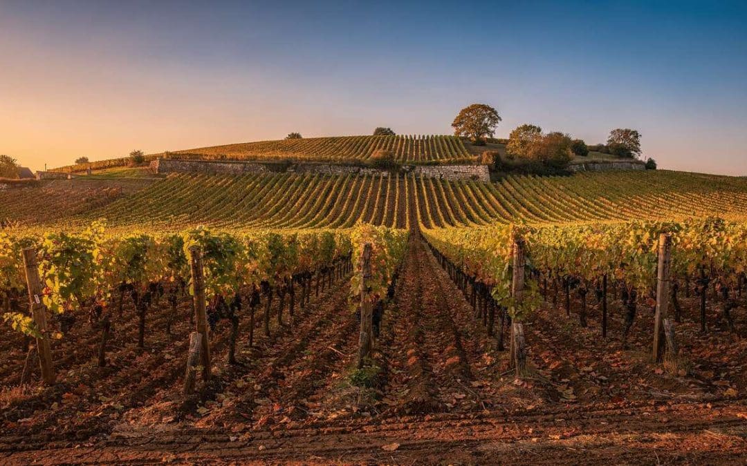 Fiche technique vin de Marsannay