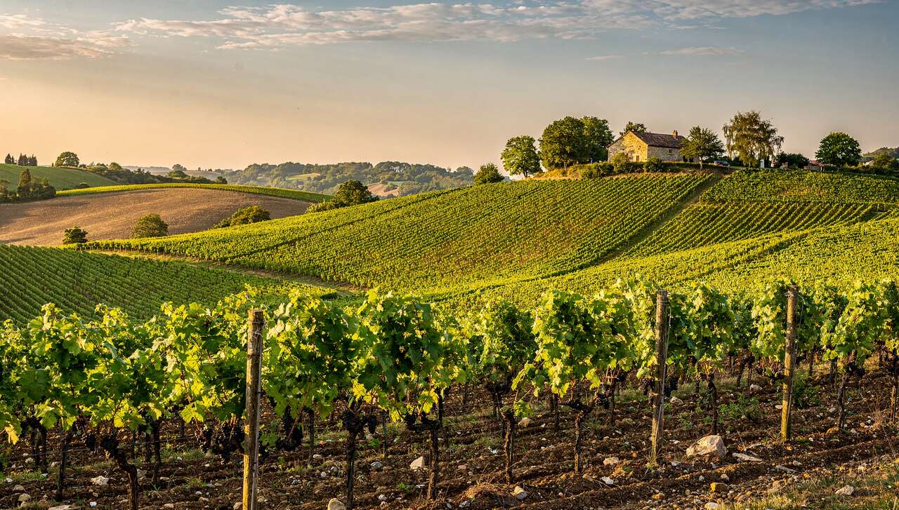 Terroirs et climats spécifiques