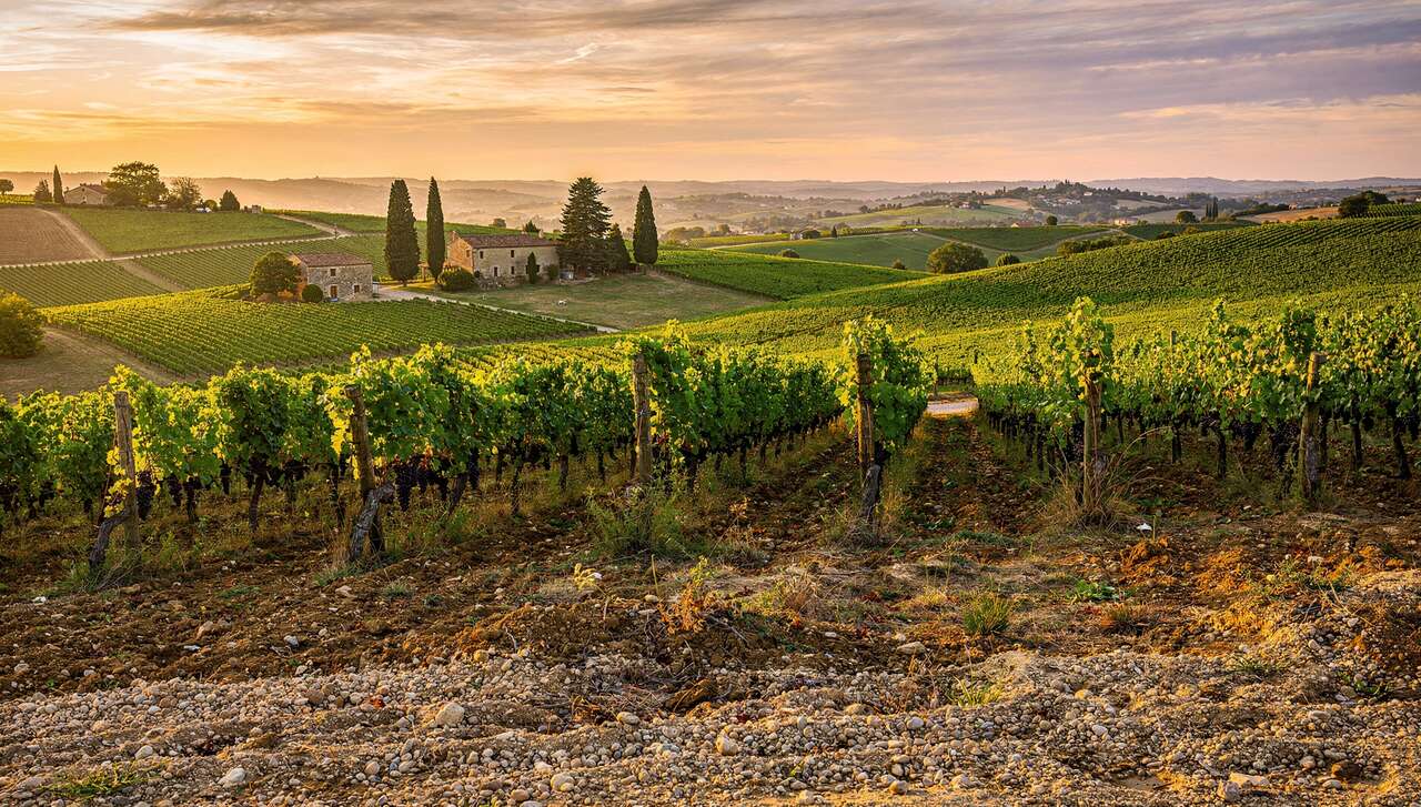 Le vignoble et ses terroirs