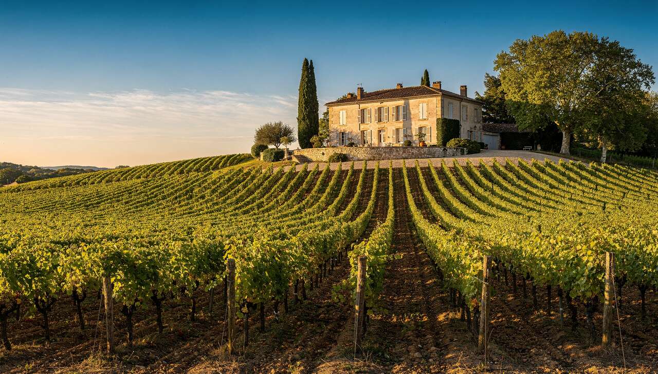 Tourisme et dégustation à gaillac