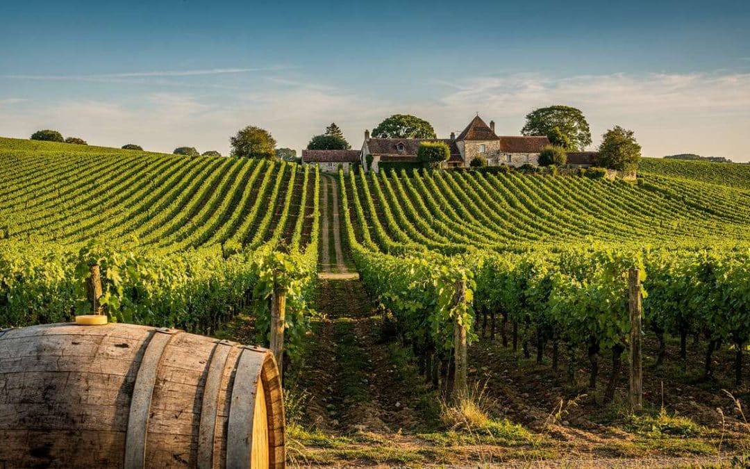 Fiche technique vin de Auxey-Duresses