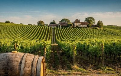 Fiche technique vin de Auxey-Duresses