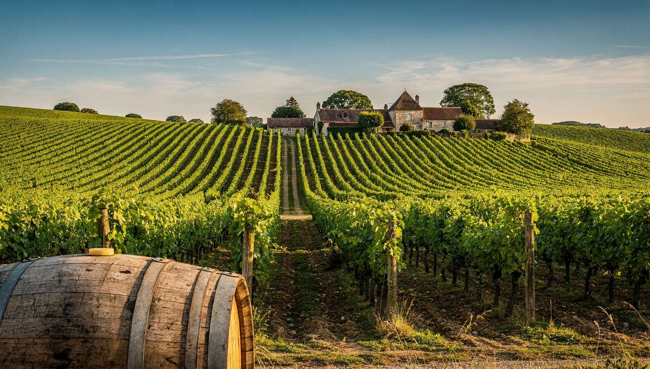 Fiche technique vin de Auxey-Duresses