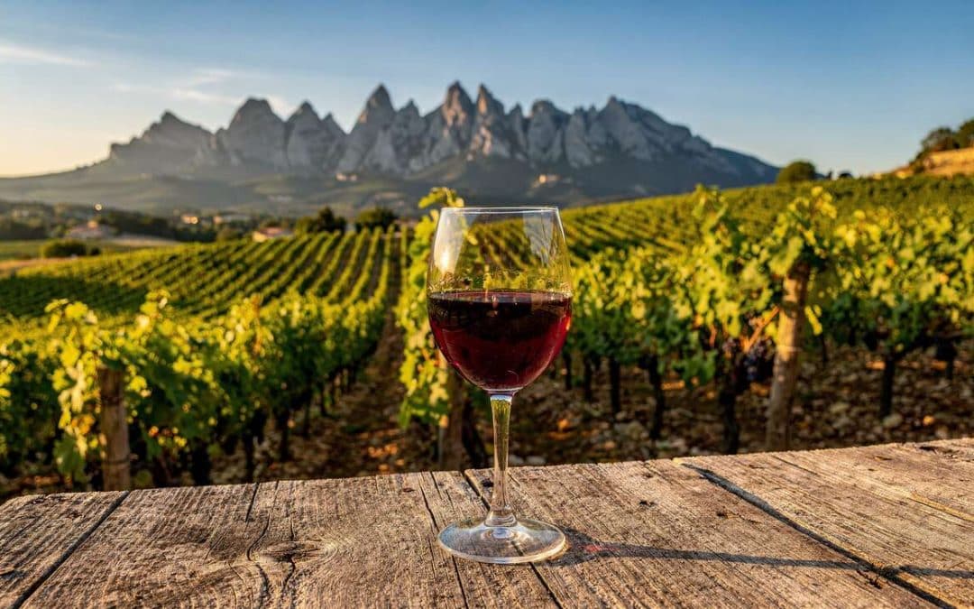 Fiche technique vin de Gigondas