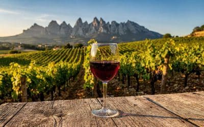 Fiche technique vin de Gigondas