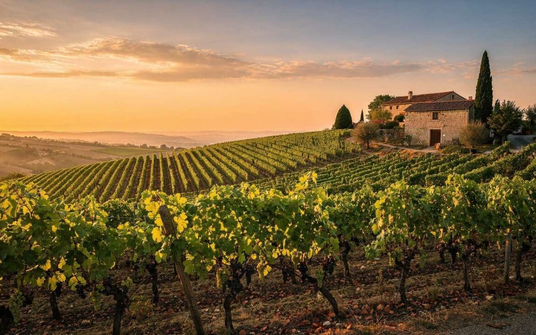 Fiche technique vin de Hermitage