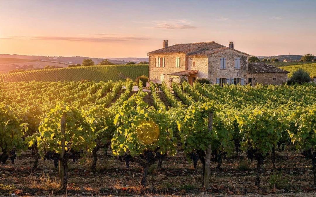 Fiche technique vin de Tavel