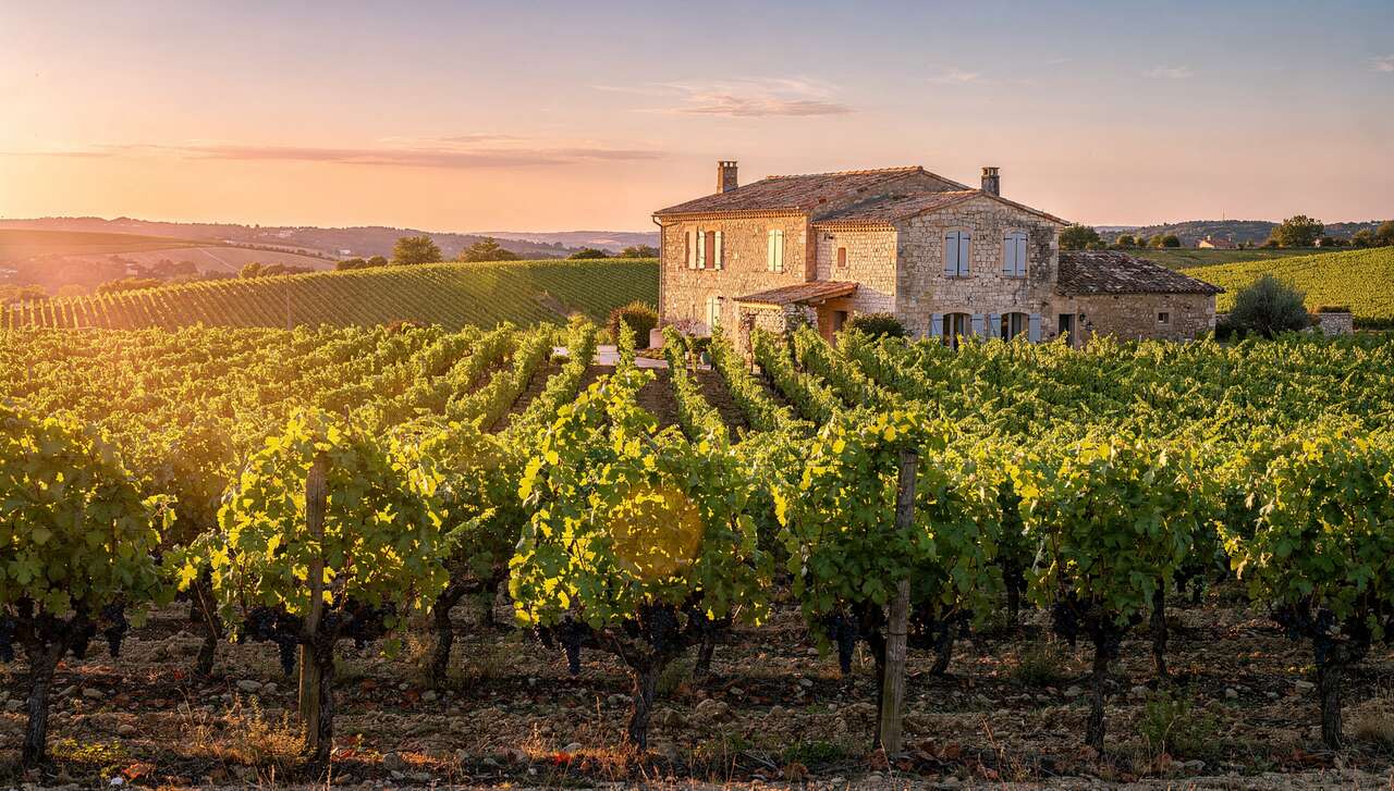 Fiche technique vin de Tavel