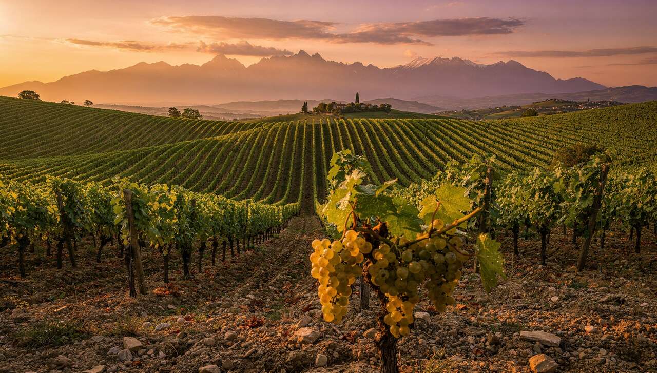Les caractéristiques du terroir de jurançon