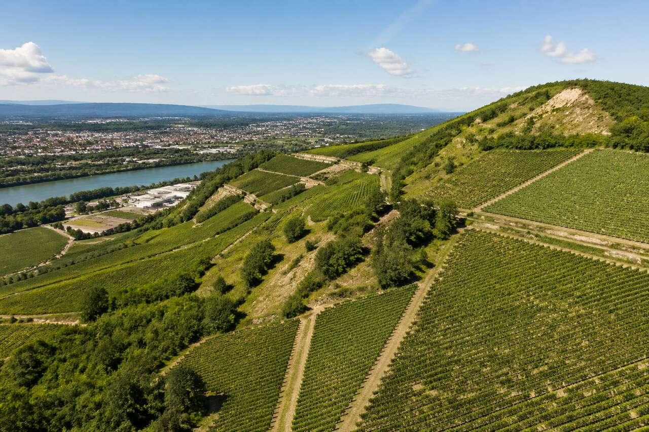 Climats et sols : une richesse unique